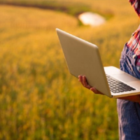 Collaboratore tecnico/Perito agrario/Agrotecnico