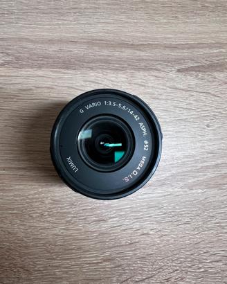 Panasonic Lumix G Vario 14-42mm F3.5-5.6 , O.I.S