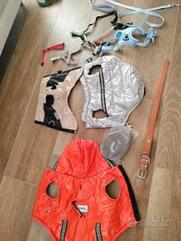 accessori cane