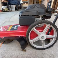 decespugliatore professionale