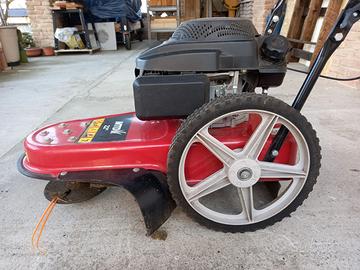 decespugliatore professionale