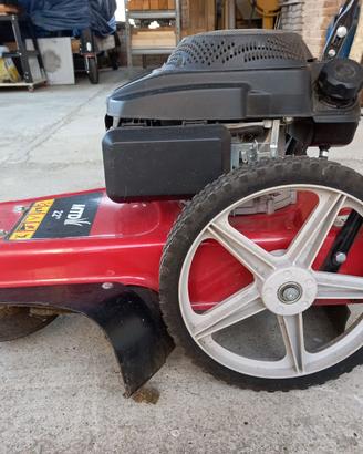 decespugliatore professionale