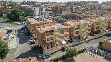 Nella ridente fonte nuova