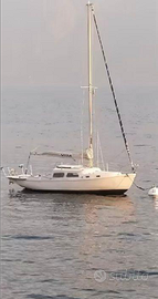 Barca vela playvisa coronado 25