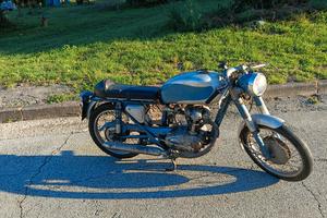 ducati 100 sport 