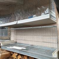 gabbie per uccellini