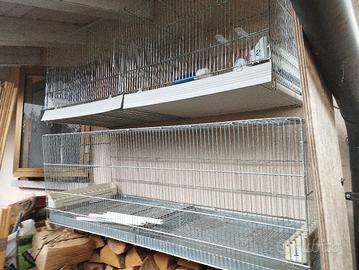 gabbie per uccellini