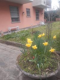 Appartamento via spezia