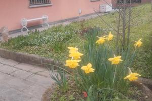 Appartamento via spezia