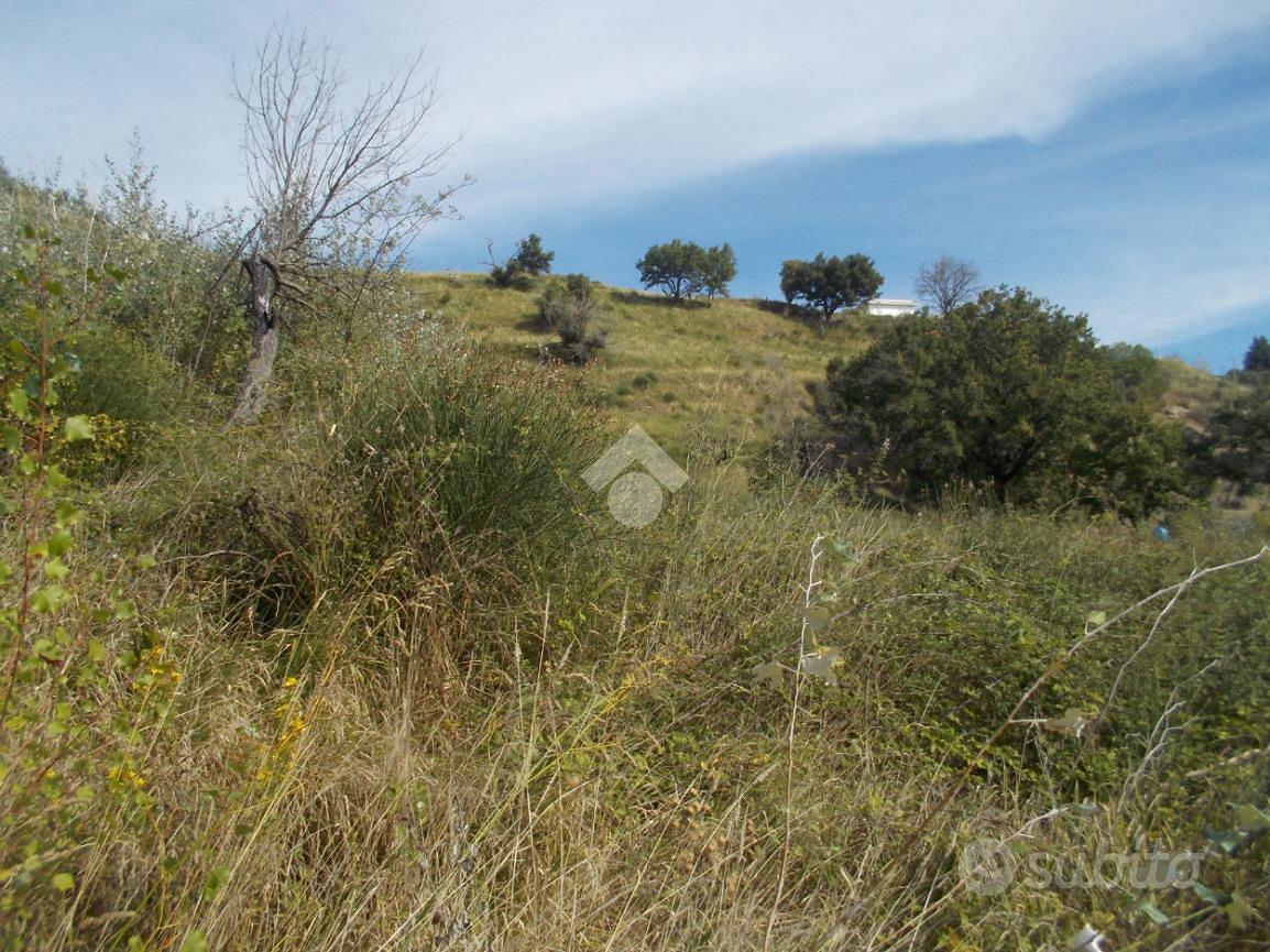TER. AGRICOLO A CASTROLIBERO - Altro