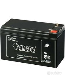 Batteria 12v 7ah