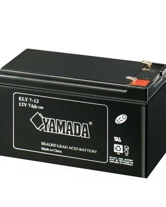 Batteria 12v 7ah