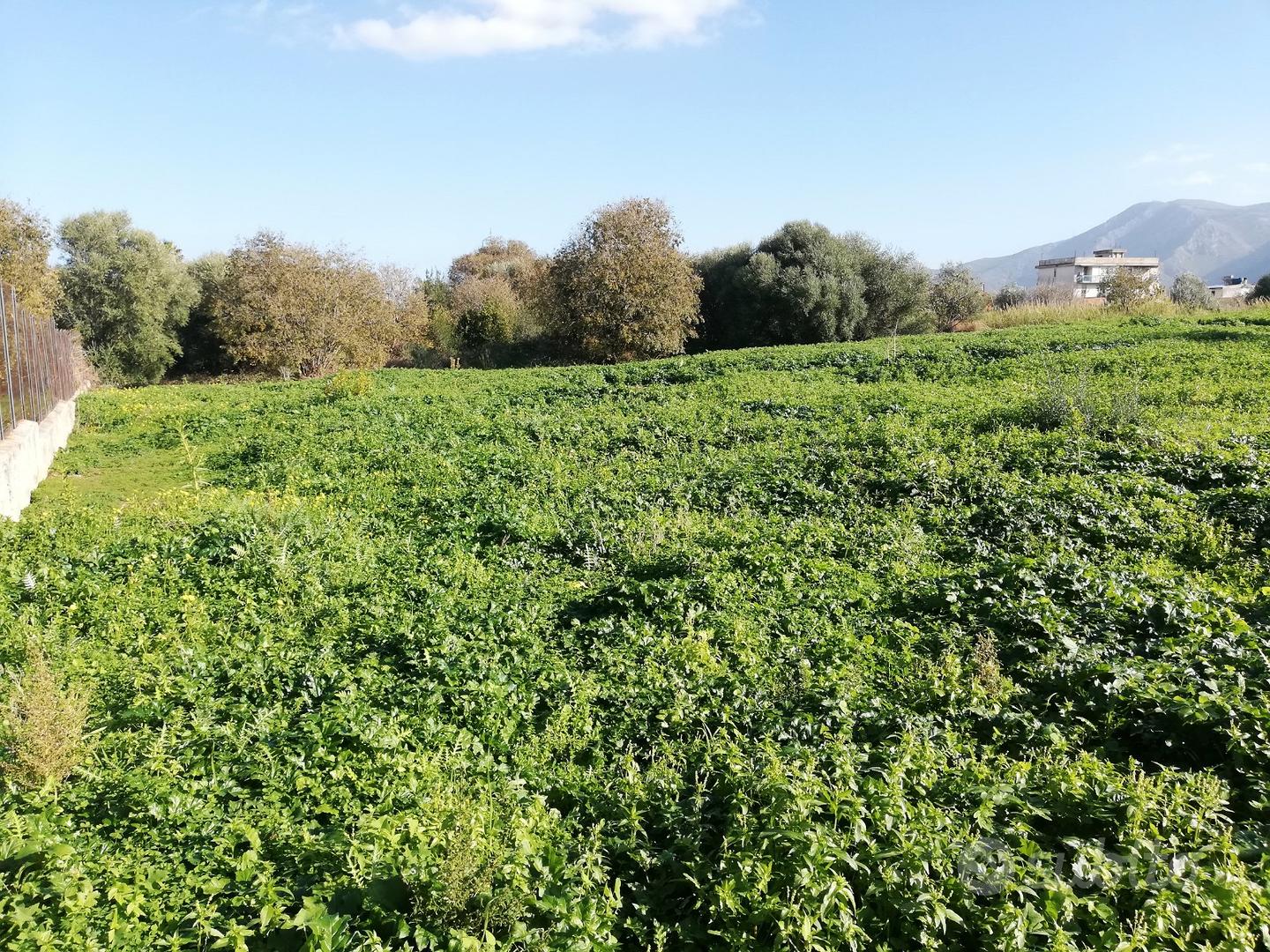 Terreno agricolo - Zona Via Santicelli - Vista 3