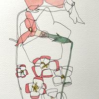 Dipinto acquerelli fiore