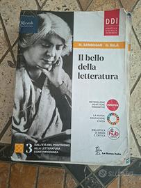 Libro 'Il bello della letteratura' 