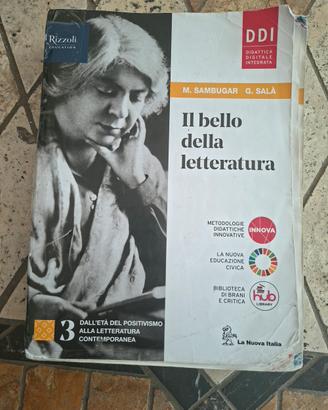 Libro 'Il bello della letteratura' 