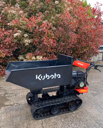 M175- Motocarriola Kubota