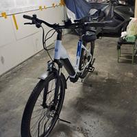 bicicletta pedalata assistita