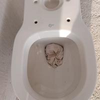 WC Ideal Standard Connect