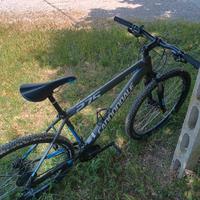 MTB cannondale trail 5