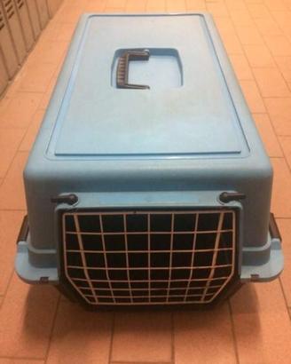 Trasportino animali