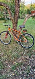 bici diamondback responsabile se