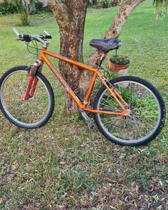 bici diamondback responsabile se
