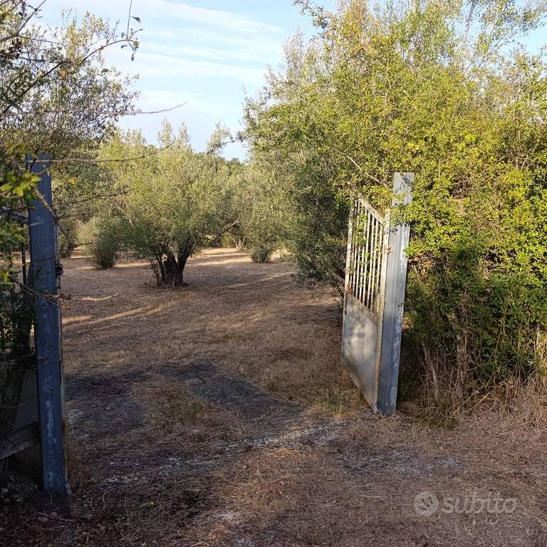 Terreno di 9710 m² a Blera - Vista 2