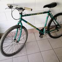 Mountain bike Bianchi 