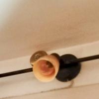 Lampada da parete o da soffitto 