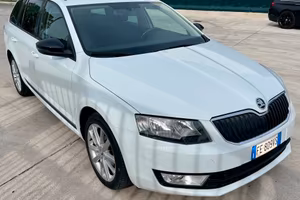 Skoda Octavia Wagon 1.6 TDI 110 CV DSG
