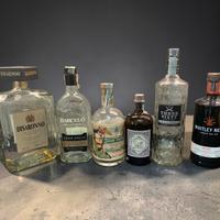 2lotto bottiglie vuote gin