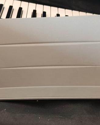 Pianoforte elettronico Casio Privia Px 310