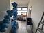Immagine 29