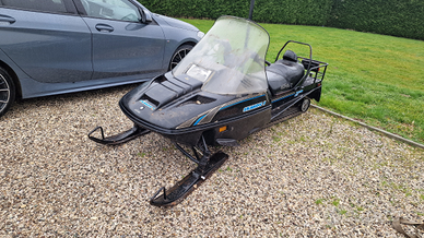 Motoslitta skandic 503