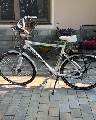 Atala E-Space 8.1  29"