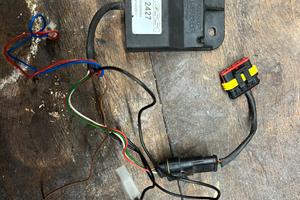 Centralina Malossi DIGITRONIC +bobina Ignition