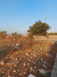 Terreno agricolo a modica, contrada scardacucco