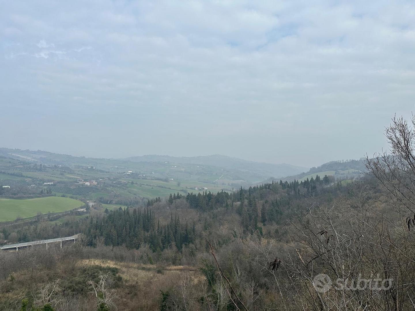 Terreno e casa indipendente a Sogliano - Vista 2