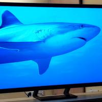 TV SAMSUNG 55 POLLICI GARANZIA 2027 