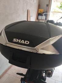 Bauletto moto