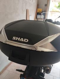 Bauletto moto