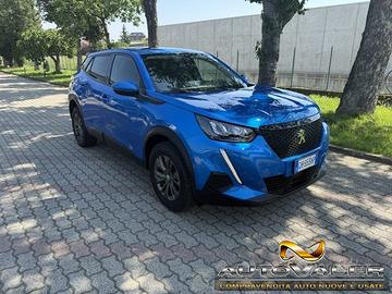 PEUGEOT 2008 PureTech 100 S&S Active,Apple CarPl