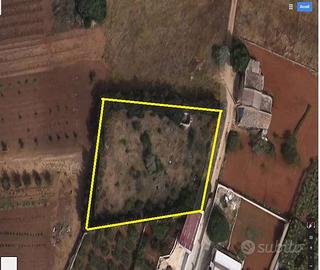 Terreno Edificabile a Marsala