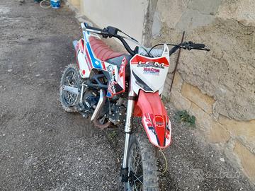 Lem Coral 125 - 2023