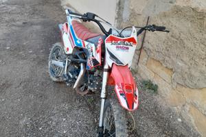 Lem Coral 125 - 2023