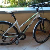 Bici Scott Sportster 40