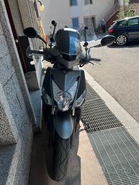 Scoter