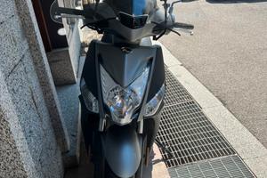 Scoter