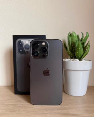 iPhone 13 Pro Max 256gb